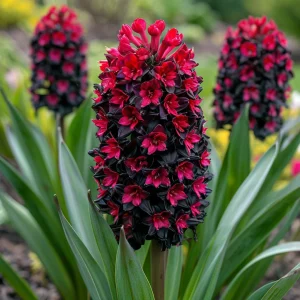 Гиацинт Джем Стоун купить по цене от 2099р. в интернет-магазине «Посадика» с доставкой почтой в в Вышний Волочеке и по всей России – [изображение №1].