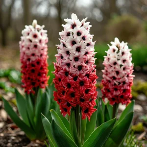 Гиацинт Скай Гарден купить по цене от 2099р. в интернет-магазине «Посадика» с доставкой почтой в в Вышний Волочеке и по всей России – [изображение №1].